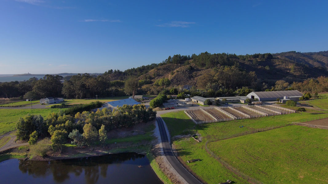 Branscomb Farm