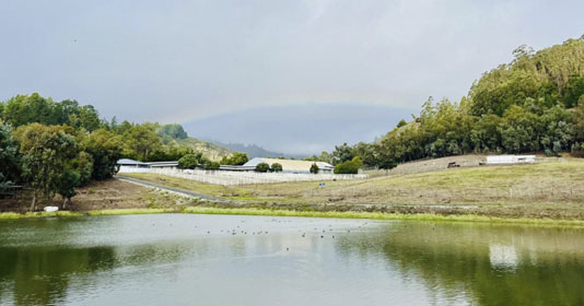 Branscomb Farm