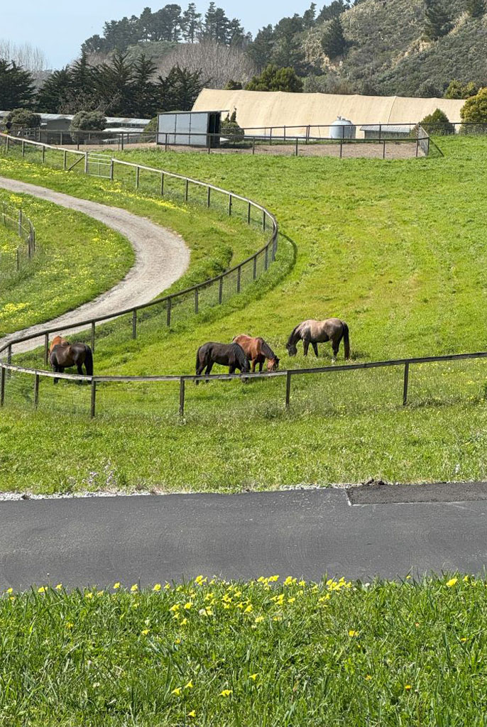 Branscomb Farm