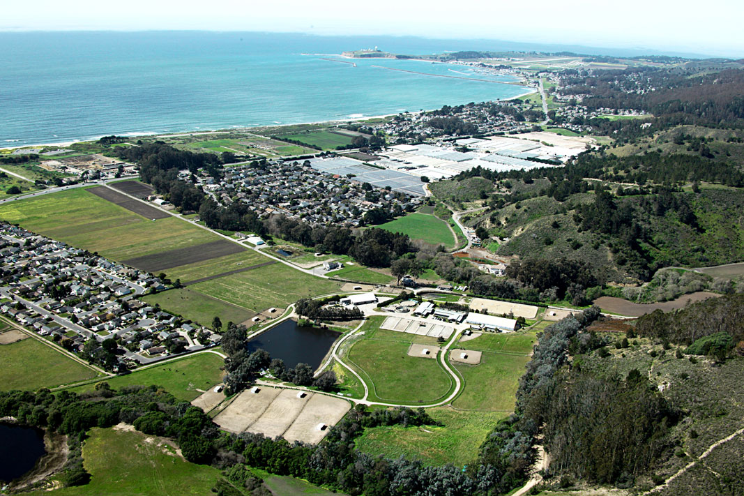 Branscomb Farm