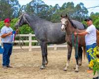 Leonardo BF hol inspect