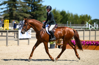 WJ1_0057_WebRes_Branscomb