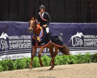 Valentino BF USHJA National