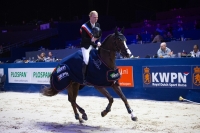 New-Pleasure-Kampioen-Hengstencompetitie
